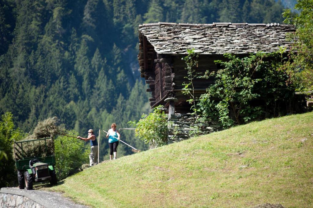 Albergo Castello Da Bonino Champorcher Pokój zdjęcie